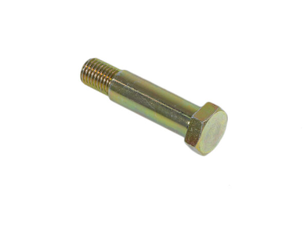 Long fitting screw for joint disc